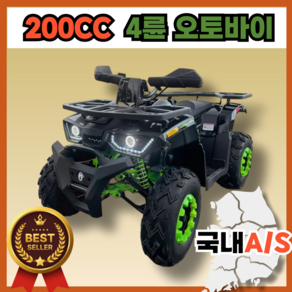 와일드트랙 200cc ATV 사륜 오토바이 산악 오프로드 1인용 해변 사막, 블랙