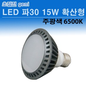 GENI LED PAR30 15W 확산형 파삼공, 주광색, 1개