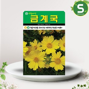 솔림텃밭몰 금계국씨앗 500립 금계국 꽃씨앗 꽃씨 야생화