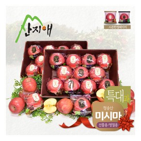 [산지애] 씻어나온 꿀사과 4kg 2box (특대과) / 청송산 미시마 당도선별, 2박스