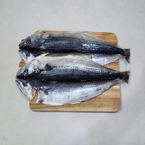 국내산 제주 자연산 삼치 1미, 1개, 300g 내외