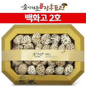 장흥표고버섯 백화고 2호 400g 명절선물세트, 1개