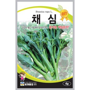 채심 4g 씨앗 세계, 10개