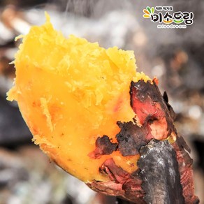 [미소드림] 고창 황토밭에서 수확한 햇 꿀고구마 10kg (혼합)2024년, 1개