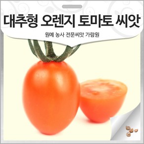 대추형 오렌지 토마토 씨앗 방울 토마토씨 종자 10알, 1개