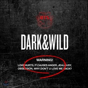 [CD] 방탄소년단 (BTS) 1집 - Dak & Wild : 엽서 폴라로이드 증정 종료