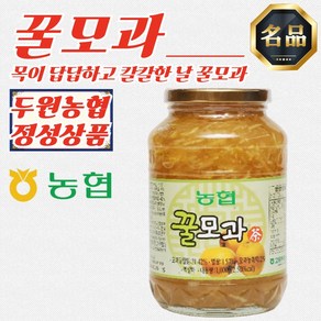 전남 고흥 두원농협 모과청 꿀모과차 1kg x 2병, 2개, 1개입