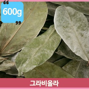 신이내린 약초 그라비올라 잎 잎차 마시는차 식수 요리 인도네시아산 600g, 1개, 1개입