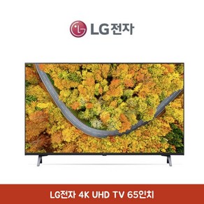 LG전자 65인치 4K UHD TV AI ThinQ 에너지효율 1등급, 벽걸이형, 방문설치