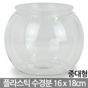 인테리어 플라스틱 화분 12x15cm - 수경화분 플분 거실화분 인테리어 책상화분 유리화분 수경분 사무실화분 아이방화분 매장화분, 07_Sein_160A 플라스틱수경분, 1개