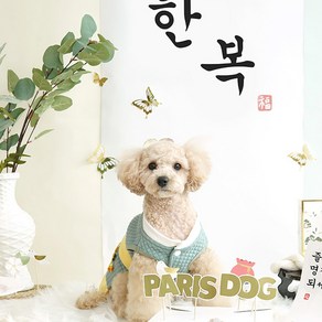 [더같이가치] 강아지 남아 한복, 민트, 1개