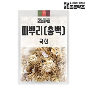 국내산 건조 파뿌리 파뿌리차 총백 대파차 300g, 1개