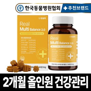 펫생각 리얼 멀티밸런스 강아지 종합 영양제 비타민 눈 간 피부 관절 면역력 성장기 노령견 120g, 1개, 종합영양제