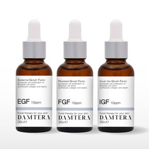 담테라 EGF FGF IGF 10ppm 앰플 원액 10ml 3종세트, 담테라 EGF+FGF+IGF 10ml, 1개