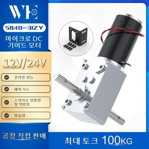 전동계단 리프트 Bingsmat 더블 샤프트 DC 모터 웜 기어 높은 토크 70 KGCM 24 볼트 D 감속기 리버시블 12V, 35) 24V 27RPM  Single gea mot, 1개