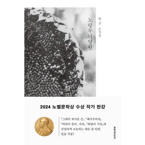 노랑무늬영원 - 2024 노벨문학상 수상 작가 한강 저자 책, 문학과지성사