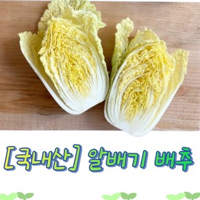 [국내산] 아삭하고 달콤한 맛있는 알배기 배추 신선함 제철 쌈배추 알배추구이 알배추샐러드 배추전 다이어트알배추찜, 1개