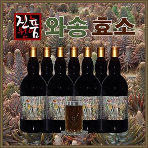 장녹원 와송효소 1100ml, 1.1L, 2개