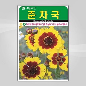 슬로시 꽃 씨앗 고급 꽃씨 야생화 허브씨 종자 모음, 1개