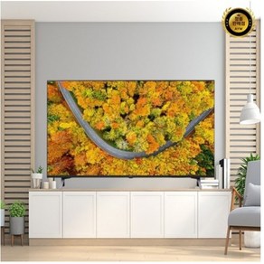 LG전자 4K UHD LED TV, 163cm(65인치), 65UR642S0NC, 벽걸이형, 방문설치