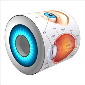 눈으로 보는 눈의 구조(5인용)/SF