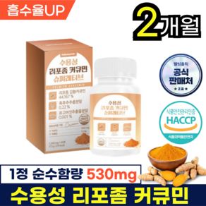 웰빙홀릭 수용성 리포좀 커큐민 강황 영양제 높은흡수율 HACCP식약처인증, 1박스, 60정