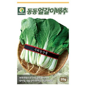 동동 얼갈이 배추 씨앗 20g - 배추씨앗 배추씨 엇갈이 야채씨앗 채소씨앗 채소재배 종묘 종자 베란다 텃밭 씨 씨앗, 1개