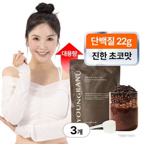 영라뉴 프로틴 핏 쉐이크 대용량 장영란 단백질 코코아 영란뉴, 630g, 3개