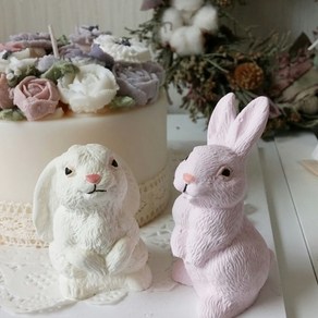 수제몰드 귀내린토끼(3D)