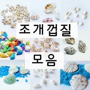 조개껍질 소라껍질 모음 젤캔들 만들기 재료