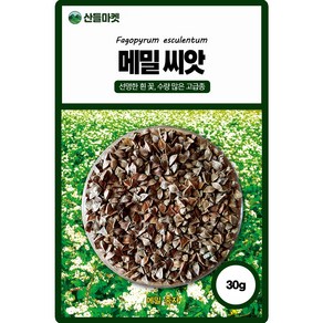 산들마켓 메밀 씨앗 30g 선명한 흰꽃 수량많은 고급 품종, 1개