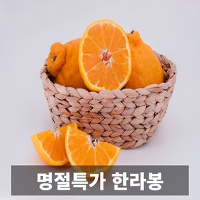 금메달농수산 설명절 제주 한라봉 랜덤과, 1개, 1kg