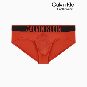 캘빈클라인 CALVIN KLEIN Undewea 남성 인텐스 파워 마이크로 쿨링 힙브리프 NB3835-XBZ 780645