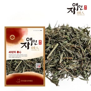 자애인 국산 구절초 600g 구일초 선모초 구절초차 경북영주, 1개