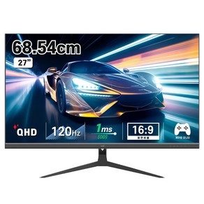 디엑스 68cm QHD 120Hz 게이밍 컴퓨터 모니터 DX270QHD120, DX270QHD120(일반)