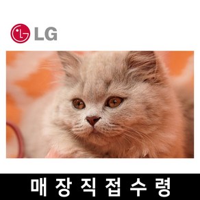 LG 75인치 최신형 4K 스마트 UHD TV 75UQ8000 넷플릭스 핫딜, 고객직접설치, 스탠드형