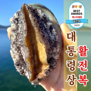 직거래 완도 활 전복, 1박스, 1kg 왕특대(7~8미)