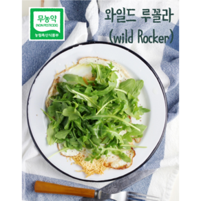 [Fam Natue] 친환경 와일드 루꼴라, 1팩, 50g