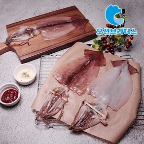 오션브라더스 촉촉한 반건조 오징어 350g 5마리, 350g/5마리