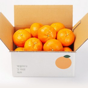 깨비농원 고당도 레드향 2kg, 1박스, 레드향 2kg 중과(9-12과)