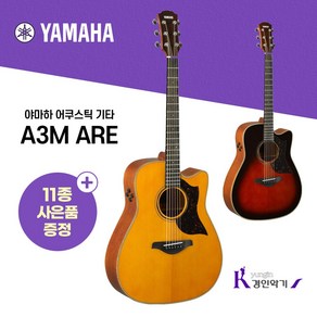 야마하 어쿠스틱 기타 A3M ARE 사은품증정, TBS, 1개