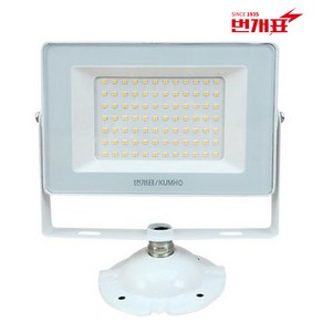 번개표 LED 투광기 투광등 35W 30W 50W 75W 100W 간판등 공장등, 1개