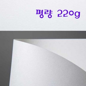 두성 스코틀랜드지 220g 4절 5장단위판매