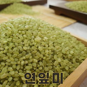 밥보야 24년산 연잎쌀 1kg 연잎미 색깔쌀 컬러쌀, 1개