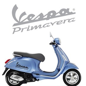 오토바이 데칼 스티커 Vespa 베스파 프리마베라, L, 골드헤어라인, 1개