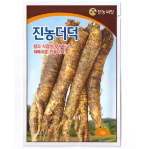 더덕씨앗 진농더덕 3g 재래종 종자, 1개