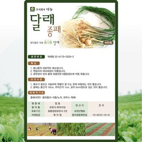 다농 달래 씨앗 400립 달래종패 종구씨 산채 나물 종자, 1개