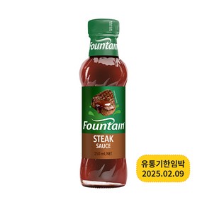 파운틴 스테이크 소스 250ml, 1개