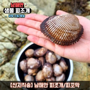 남해안 피조개 피꼬막 피조개회 조개 구이 찜 탕 8kg 1개