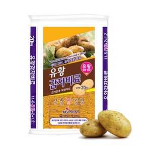 KG케미칼 유황 감자 비료 20kg 마이플랜트, 1개